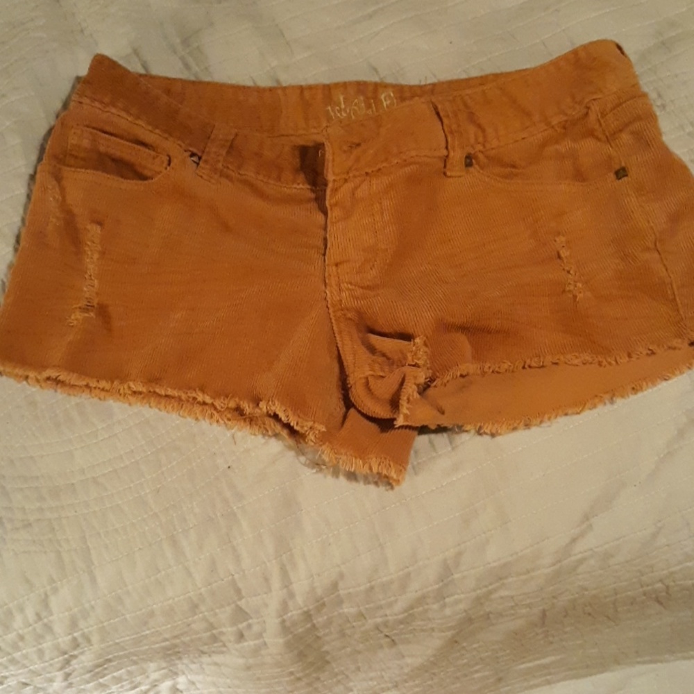 Wallflower curdory shorts